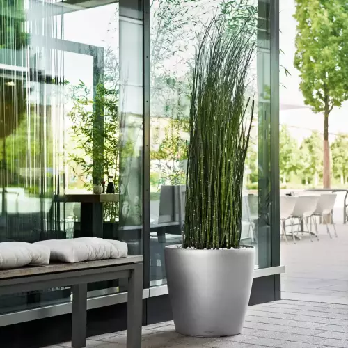 Srebrna donica Lechuza Classico 70