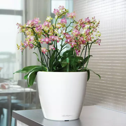 Biała doniczka Lechuza Classico LS 35