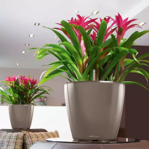 Doniczka Lechuza Classico LS 35 w kolorze taupe