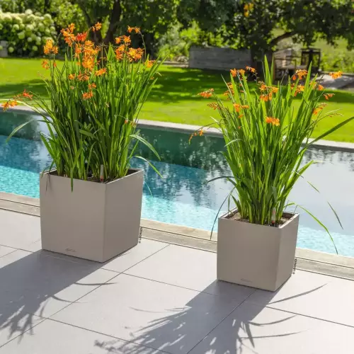 Donice Lechuza CUBE Color 30 i CUBE Color 40 w kolorze piaskowy brąz