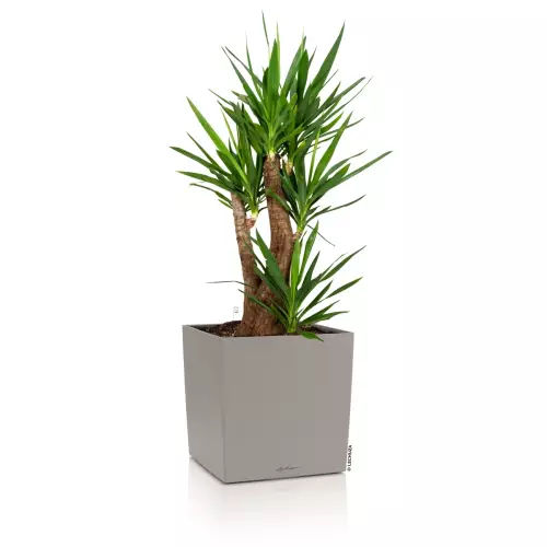 Donica Lechuza CUBE Color 40 w kolorze piaskowy brąz