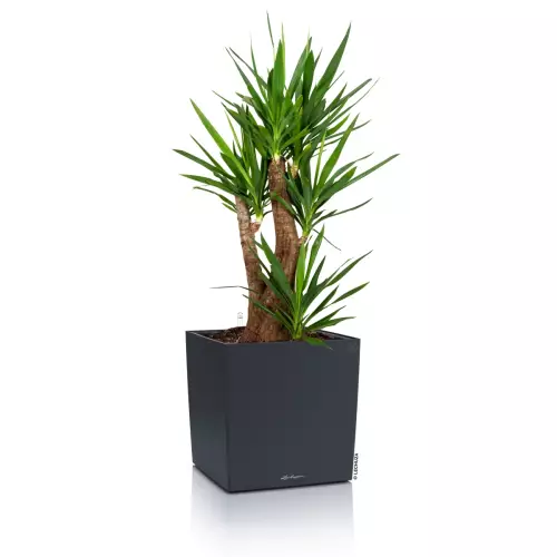 Donica Lechuza CUBE Color 40 w kolorze szary łupek