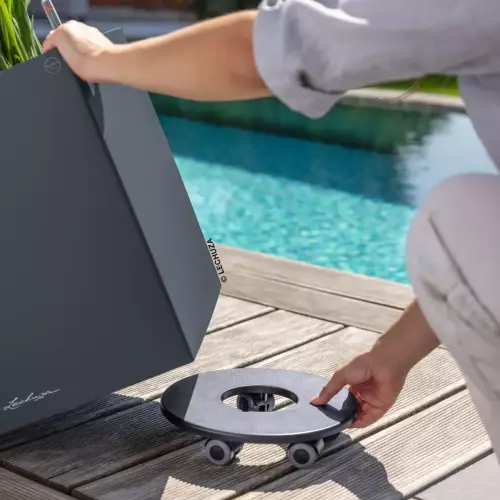 Lechuza CUBE Color 40 - możliwość nabycia podstawki na kółkach