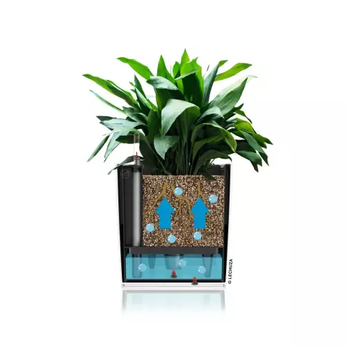 Schemat funkcjonowania nawadniania w donicy CUBE Color 40