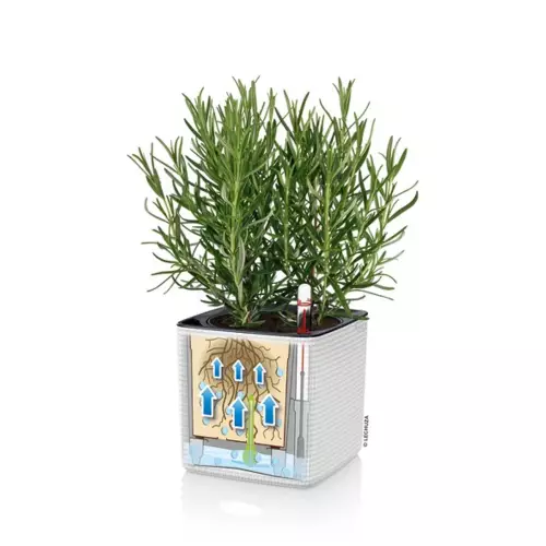 Schemat funkcjonowania nawadniania w doniczce Cube Color 16