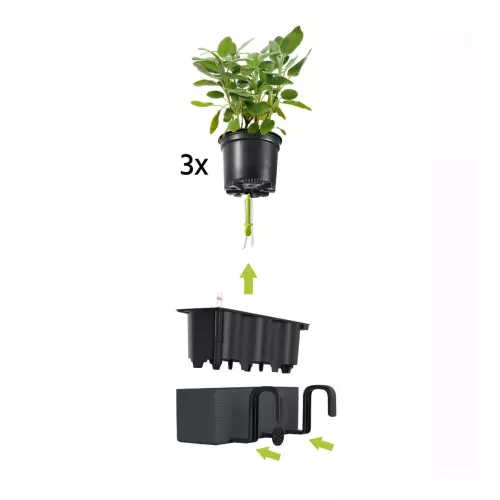 Balconissima - schemat funkcjonowania