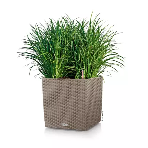 Trawa w beżowej donicy Cube Cottage 30