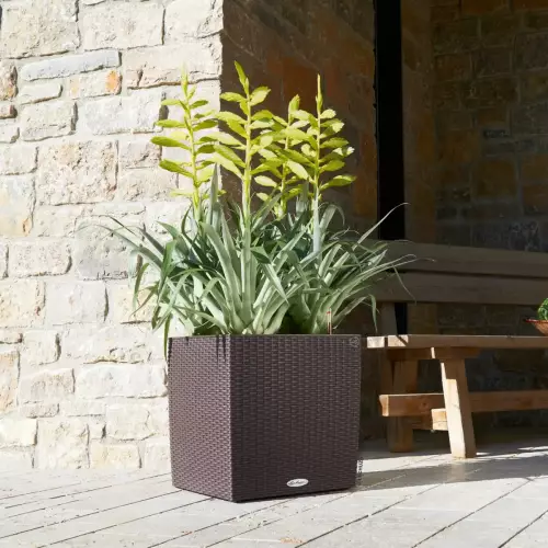 Donica Cube Cottage 40 w kolorze mokka przed domem