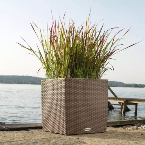 Piaskowa donica Cube Cottage 40 z trawami ozdobnymi