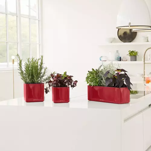 Czerwone donice CUBE Glossy w kuchni