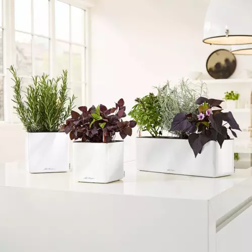 CUBE Glossy 14 cm, 16 cm i TRIPLE (potrójna)