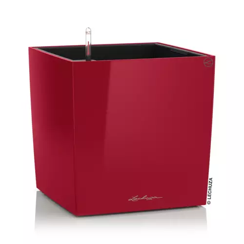 Donica Lechuza CUBE Premium 40 w kolorze czerwony połysk