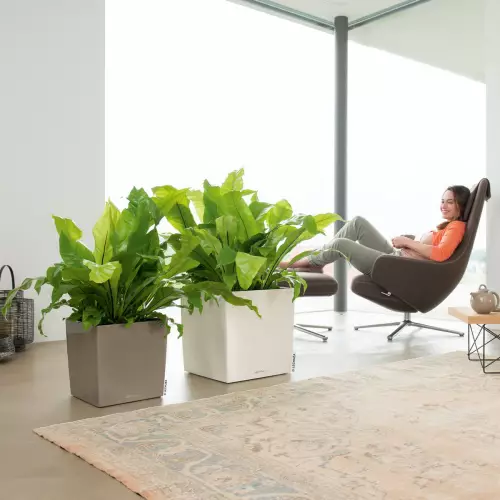 Donice CUBE Premium w salonie