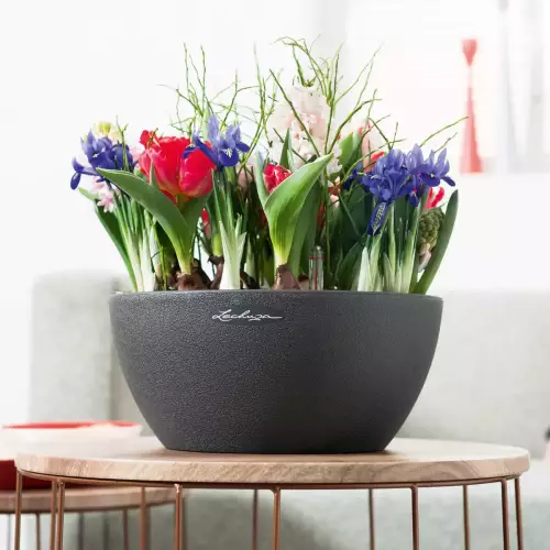 Grafitowa doniczka Cubeto Stone 30 z kwiatami
