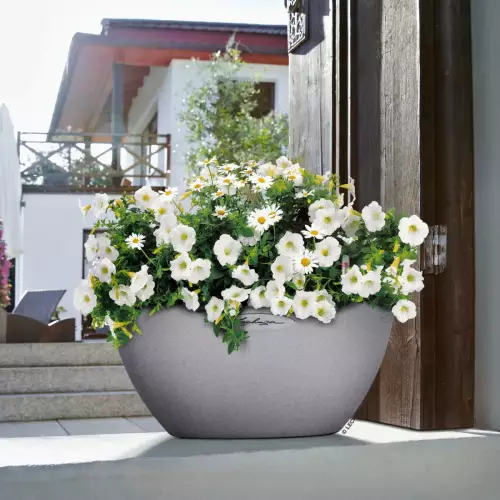 Szara donica CUBETO Stone 40 z kwiatami