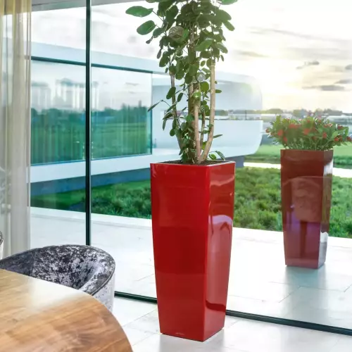 Donica Lechuza CUBICO ALTO czerwony scarlet połysk
