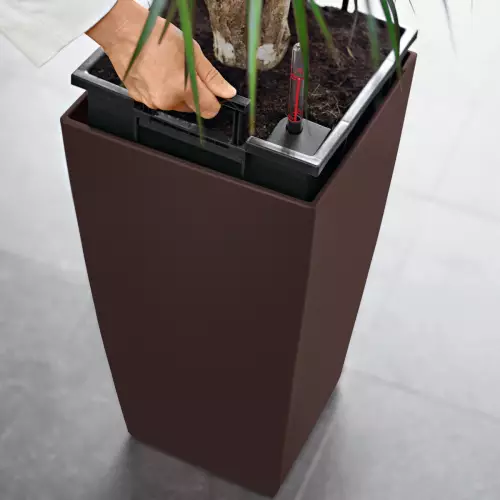 Wyjmowany wkład na roślinę