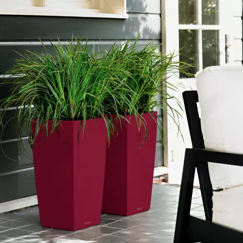 CUBICO Color czerwień granatu