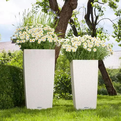 Kompozycja kwiatowa w białych donicach Cube Cottage w dwóch rozmiarach: 30 i 40