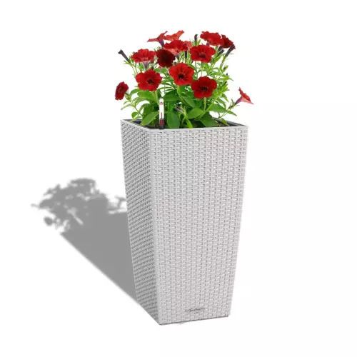 Petunia w szarej donicy Cubico Cottage 30