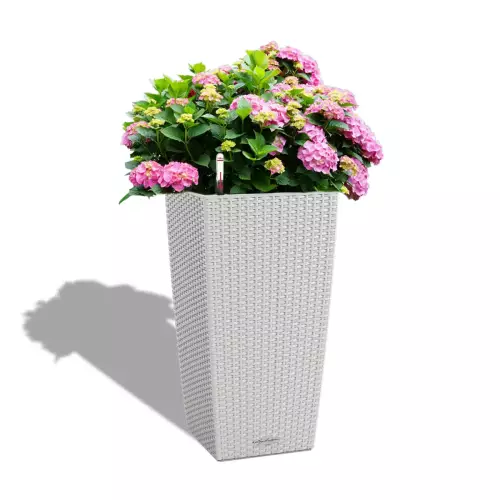 Hortensje w szarej donicy Cubico Cottage 40
