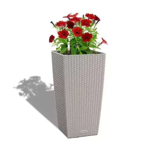 Petunia w brązowej donicy Cubico Cottage 30