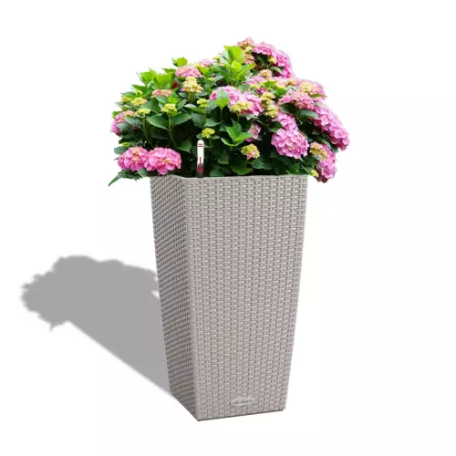 Hortensje w brązowej donicy Cubico Cottage 40