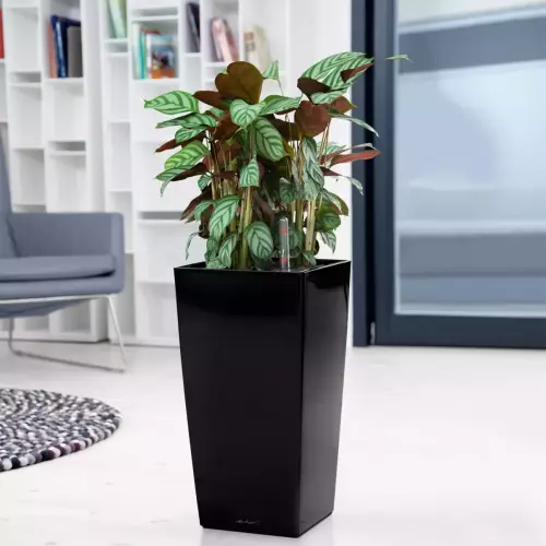 Donica Lechuza CUBICO Premium 30 czarny połysk