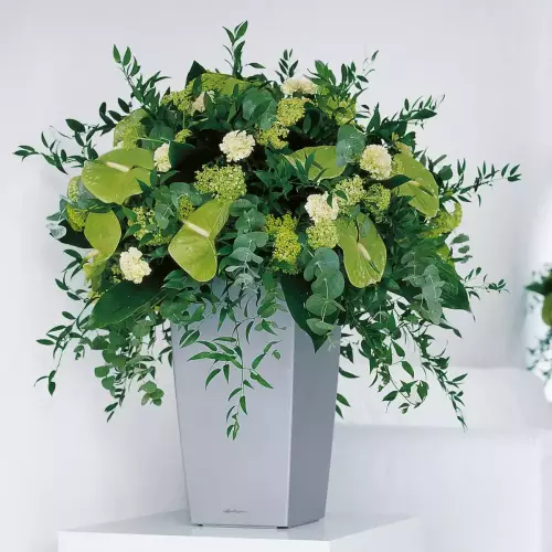 Donica Lechuza CUBICO Premium 30 srebrny metalik