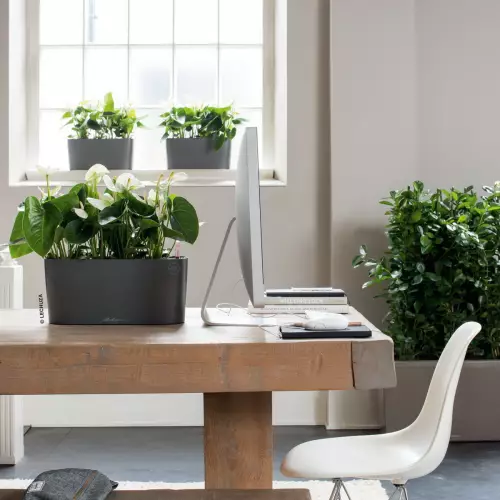 Antracytowa doniczka Lechuza DELTA na stole