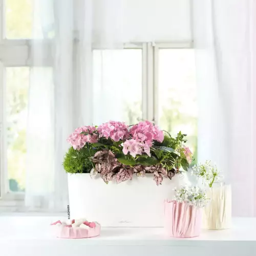 Kwitnąca kompozycja w białej doniczce DELTA 10