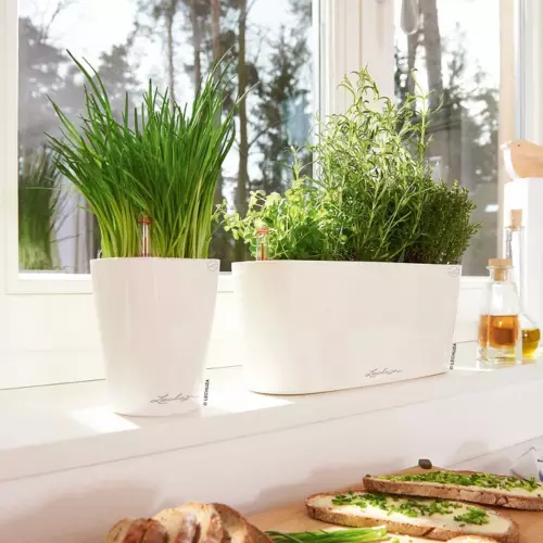 Doniczka DELTINI i DELTA w kolorze biały połysk