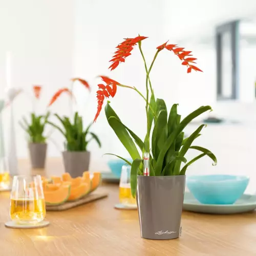 Szarobrązowa doniczka DELTINI