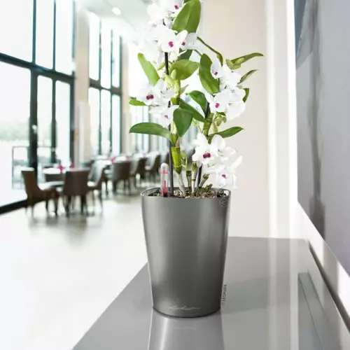 Antracytowa doniczka DELTINI