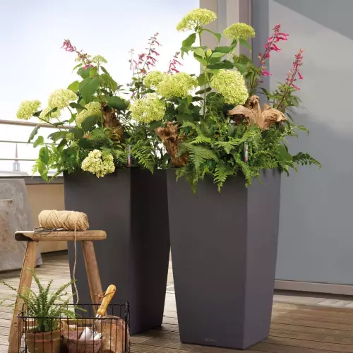 Kwiaty w muszkatołowej donicy Cubico Color 40/40/75