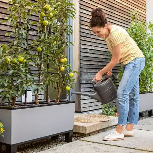 Donica Lechuza TRIO Stone 40 w aranżacji zewnętrznej