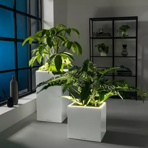 Donice CANTO Premium LED w salonie