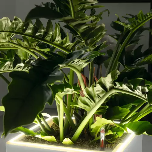 Donica CANTO Premium LED Kostka 40 z systemem oświetlenia