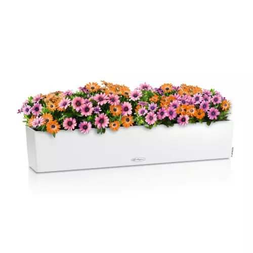 Biała doniczka Balconera Color 100 cm