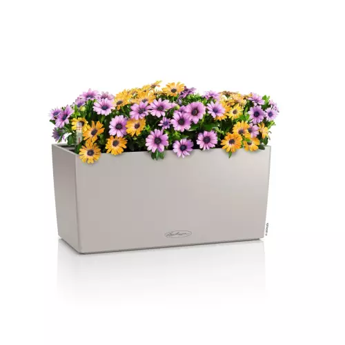 Lechuza BALCONERA Color 40 piaskowy brąz