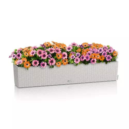 Donica Lechuza BALCONERA Cottage 100 w kolorze jasny szary