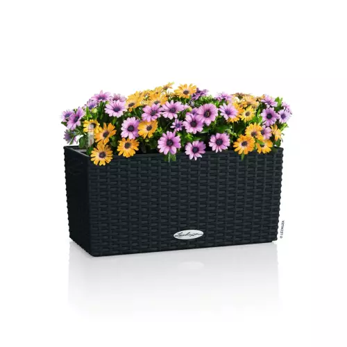 Donica balkonowa Lechuza Balconera Cottage 40 grafitowy czarny