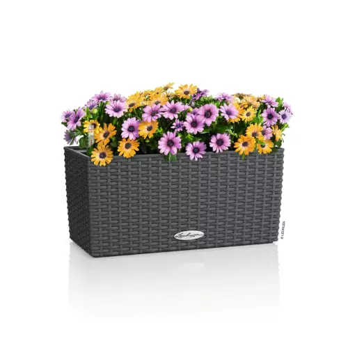 Donica balkonowa Lechuza Balconera Cottage 40 granit