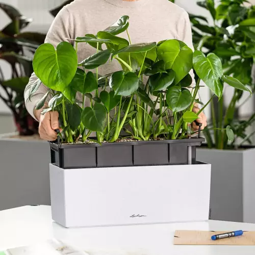 Donica Balconera Stone 40 z wkładem nawadniającym w zestawie