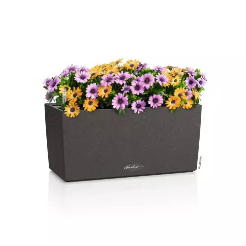 Doniczka Lechuza BALCONERA Stone 40 w kolorze grafitowy czarny