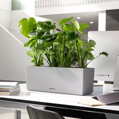 Doniczka Lechuza BALCONERA Stone 40 w kolorze szary kamień