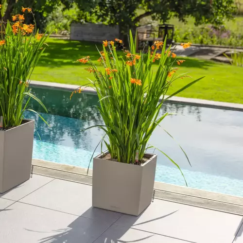 Donica Lechuza CUBE Color 30 piaskowy brąz