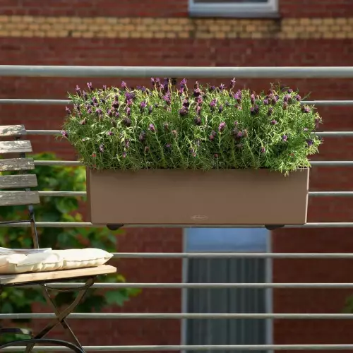 Lawenda w doniczce Lechuza Balconera Color 80 muszkatołowy brąz