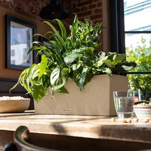 Beżowa doniczka Balconera Stone 50 na stole