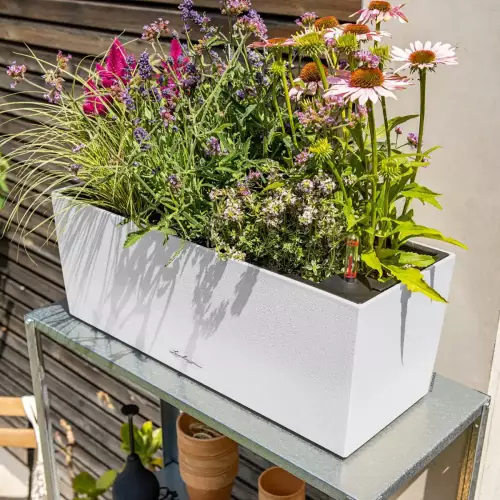 Doniczka Lechuza BALCONERA Stone 50 w kolorze biały kwarcowy